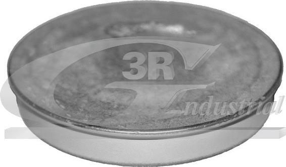 3RG 84702 - Cap, wheel bearing autospares.lv