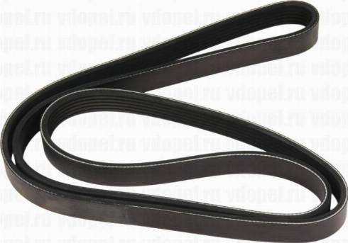 ACDelco 19347456 - V-Ribbed Belt autospares.lv