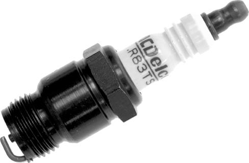 ACDelco R 83TS - Spark Plug autospares.lv