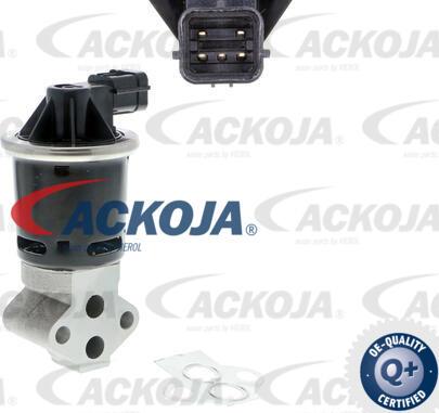 ACKOJA A51-63-0002 - EGR Valve autospares.lv