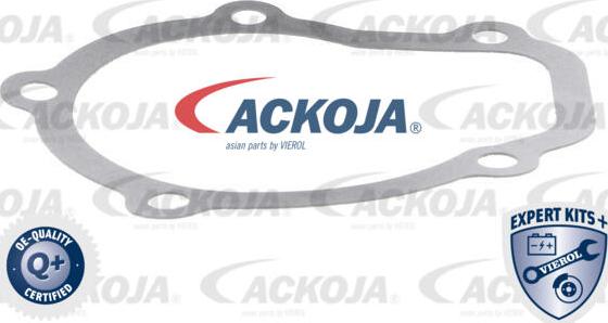 ACKOJA A51-0700 - Water Pump autospares.lv