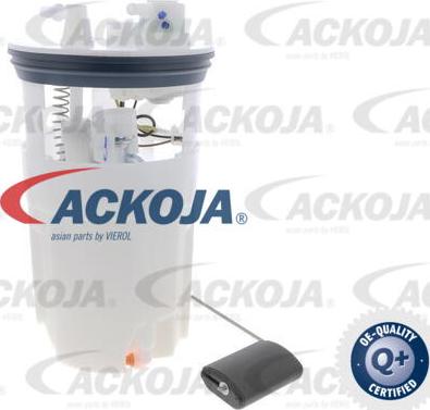 ACKOJA A53-09-0002 - Fuel Supply Module autospares.lv