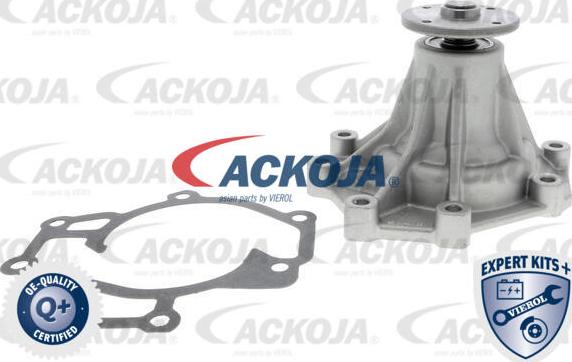 ACKOJA A53-0701 - Water Pump autospares.lv