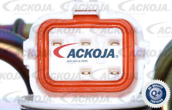 ACKOJA A52-09-0014 - Fuel Supply Module autospares.lv