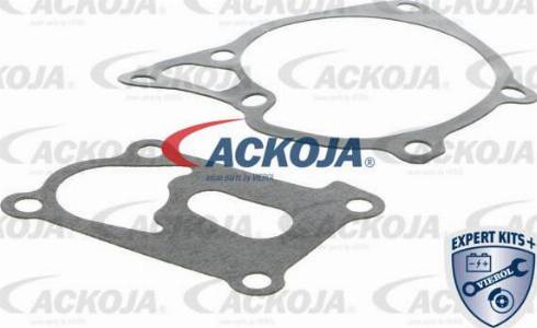 ACKOJA A37-50005 - Water Pump autospares.lv