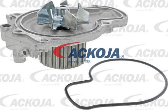 ACKOJA A26-50014 - Water Pump autospares.lv