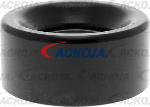 ACKOJA A26-0213 - Pulley, v-ribbed belt autospares.lv