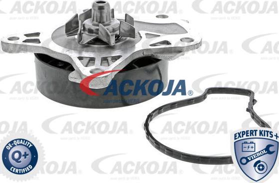 ACKOJA A70-50006 - Water Pump autospares.lv