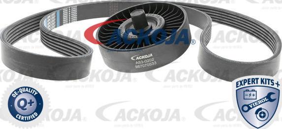 ACKOJAP A53-0202 - V-Ribbed Belt Set autospares.lv