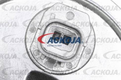 ACKOJAP A52-0204 - Timing Belt Set autospares.lv