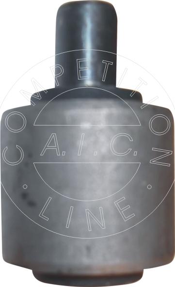 AIC 50184 - Bush of Control / Trailing Arm autospares.lv