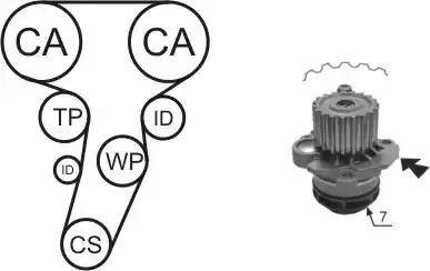 Airtex WPK-177406 - Water Pump & Timing Belt Set autospares.lv