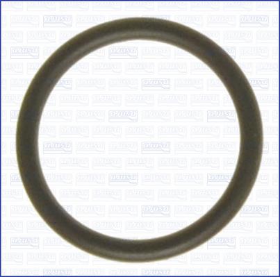 Ajusa 16505500 - Gasket, thermostat housing autospares.lv