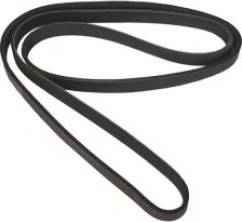 Allmakes 53002899 - V-Ribbed Belt autospares.lv