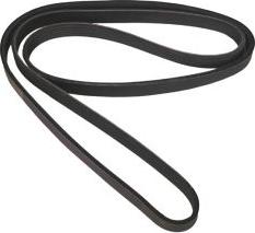 Allmakes 53010269 - V-Ribbed Belt autospares.lv