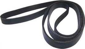 Allmakes 53032037AC - V-Ribbed Belt autospares.lv