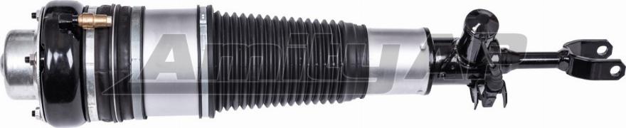 Amity AP 60-AS-0008 - Air Spring Strut autospares.lv