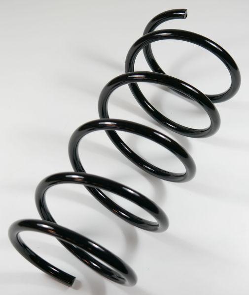 APEX 66496 - Coil Spring autospares.lv