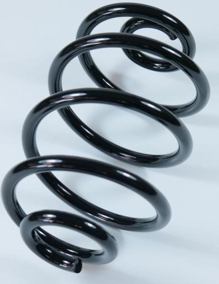 APEX 66520 - Coil Spring autospares.lv