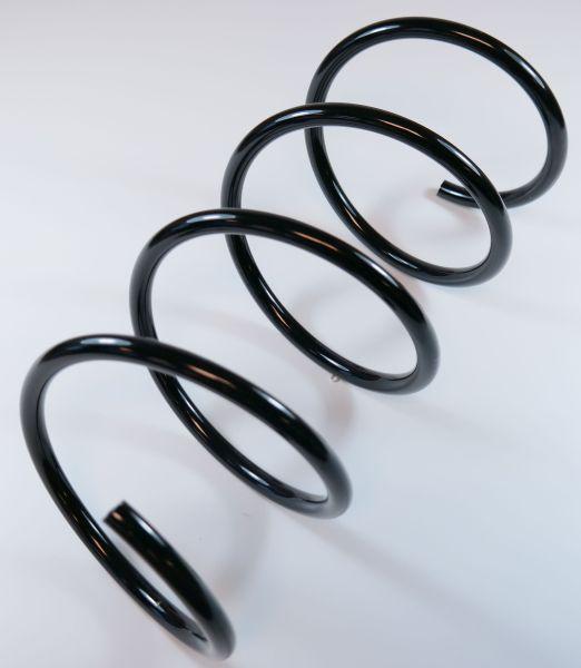 APEX 66805 - Coil Spring autospares.lv