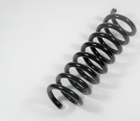 APEX 66715 - Coil Spring autospares.lv