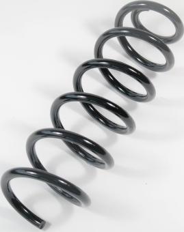 APEX 66780 - Coil Spring autospares.lv