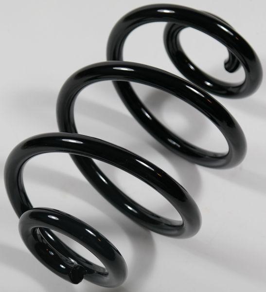 APEX 66787 - Coil Spring autospares.lv