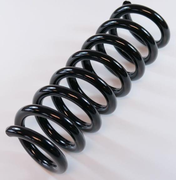 APEX 63810 - Coil Spring autospares.lv