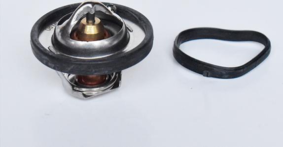 ASAM 73379 - Coolant thermostat / housing autospares.lv