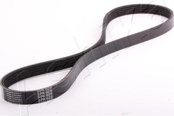 Ashika 96-09-925 - V-Ribbed Belt autospares.lv