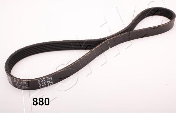 Ashika 96-08-880 - V-Ribbed Belt autospares.lv