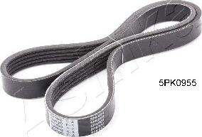 Ashika 112-5PK955 - V-Ribbed Belt autospares.lv