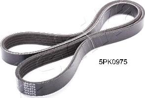 Ashika 112-5PK975 - V-Ribbed Belt autospares.lv