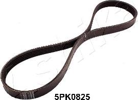 Ashika 112-5PK0825 - V-Ribbed Belt autospares.lv