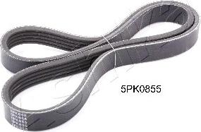 Ashika 112-5PK855 - V-Ribbed Belt autospares.lv