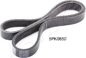 Ashika 112-5PK850 - V-Ribbed Belt autospares.lv