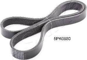 Ashika 112-5PK880 - V-Ribbed Belt autospares.lv