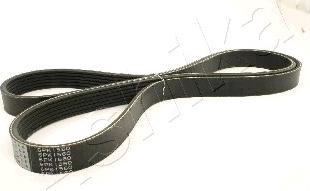 Ashika 112-6PK1560 - V-Ribbed Belt autospares.lv