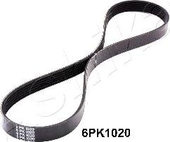 Ashika 112-6PK1020 - V-Ribbed Belt autospares.lv