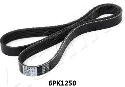 Ashika 112-6PK1250 - V-Ribbed Belt autospares.lv