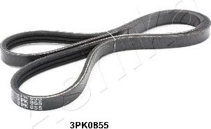 Ashika 112-3PK855 - V-Ribbed Belt autospares.lv