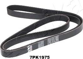 Ashika 112-7PK1975 - V-Ribbed Belt autospares.lv