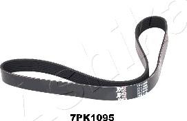 Ashika 112-7PK1095 - V-Ribbed Belt autospares.lv