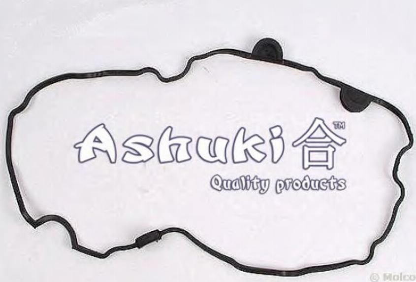 Ashuki 0366-6404 - Gasket, cylinder head cover autospares.lv