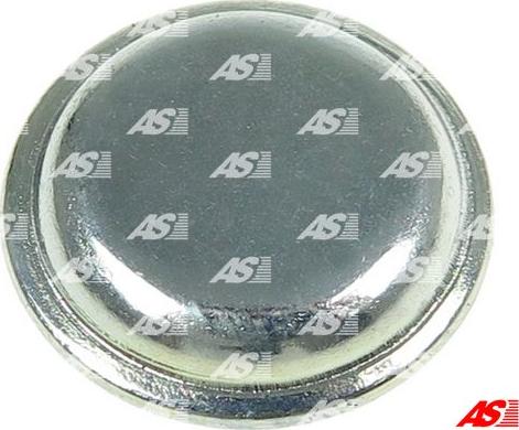 AS-PL SRS2023S(BULK) - Repair Kit, starter autospares.lv