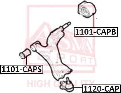 ASVA 1101-CAPB - Bush of Control / Trailing Arm autospares.lv