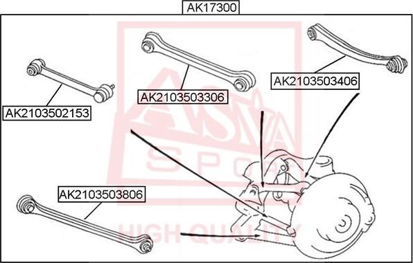 ASVA AK2103503306 - Track Control Arm autospares.lv