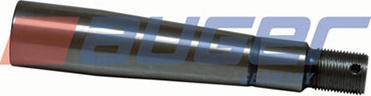 Auger 59089 - Stub Axle Pins autospares.lv