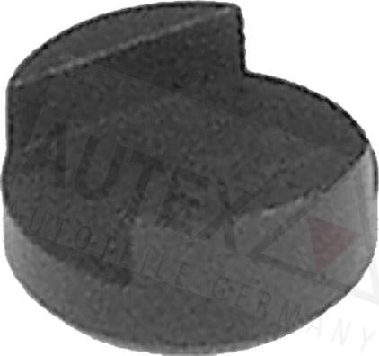 Autex 956013 - Thrust Piece, inlet / outlet valve autospares.lv