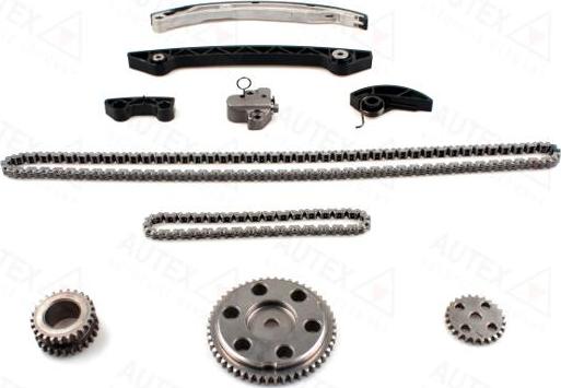 Autex 711461 - Timing Chain Kit autospares.lv